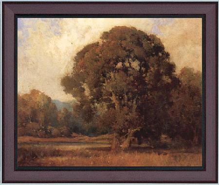 framed  unknow artist California Landscape with Oak, Ta3078-1